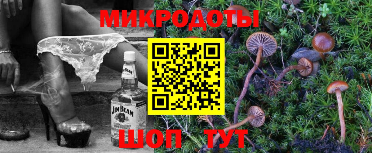 Галлюциногенные грибы Psilocybine cubensis Котлас