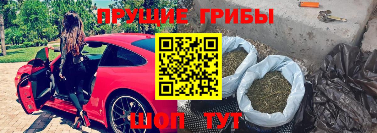 Галлюциногенные грибы Psilocybe  Вход с VPN  Котлас 