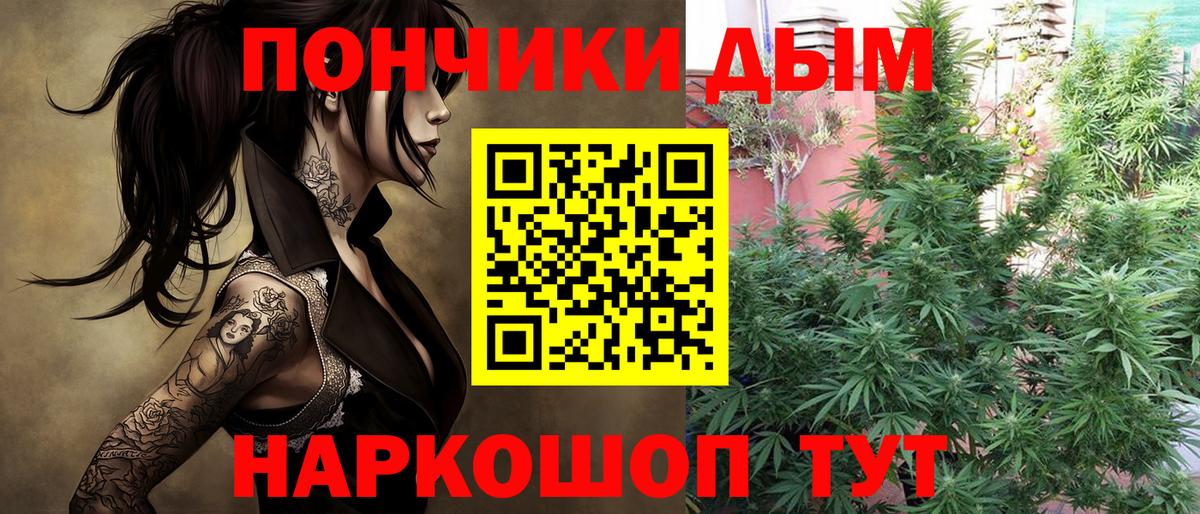 Бошки Шишки сатива  Канабис MAZAR  Котлас  МАРИХУАНА SATIVA & INDICA  Вход с VPN  Каннабис White Widow 